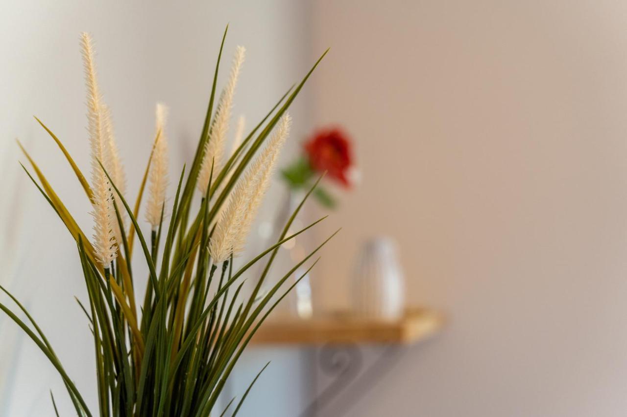 Apartamenty Nad Niwka Μπιέλσκο-Μπιάλα Εξωτερικό φωτογραφία